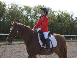 2010 Sommerturnering